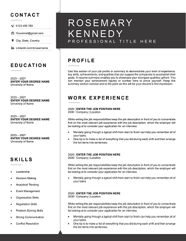 Professional CVresume