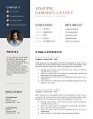 50+ Project Manager Resume Download (Free Templates) Traditional-Resume