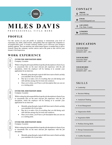 Free CV Templates Download | Proven Designs for 2025 modern-and-professional-resume