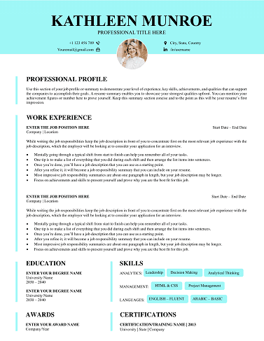 Free CV Templates Download | Proven Designs for 2025 professional-resume-template