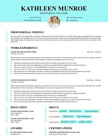 Free CV Templates Download | Proven Designs for 2025 professional-resume-template