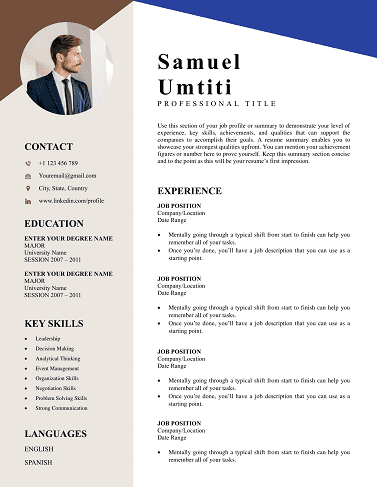Free CV Templates Download | Proven Designs for 2025 professional-resume-cv-template
