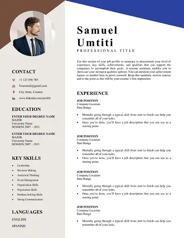Free CV Templates Download | Proven Designs for 2025 professional-resume-cv-template