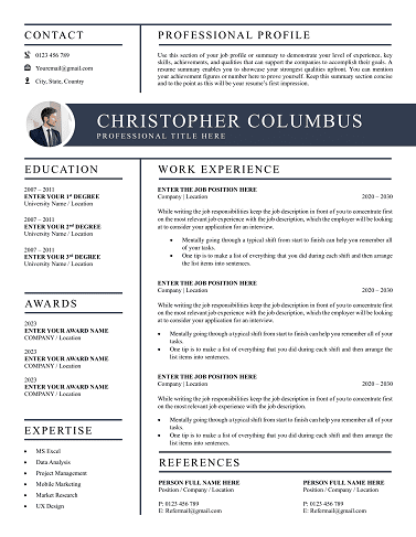 Free CV Templates Download | Proven Designs for 2025 top-quality-CV-template