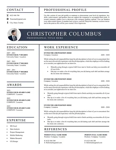 Free CV Templates Download | Proven Designs for 2025 top-quality-CV-template