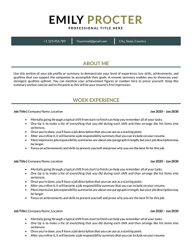 CV Template Word Docs for 2026 (Free) – Download Editable traditional CV template