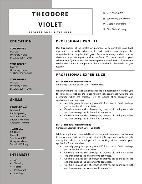 60+ Free International CV Templates – Download Now! 2025 international-cv-template