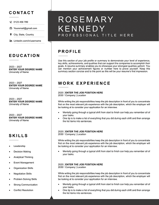 200 International Resume Templates for 2025 | Download Now! international-resume-template