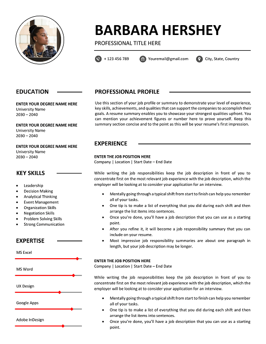 99+ Professional CV Templates – Free Download 2025 professional-cv-template
