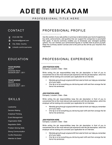 Minimalist Resume for Engineers