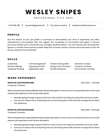 Resume Template with KPIs Section