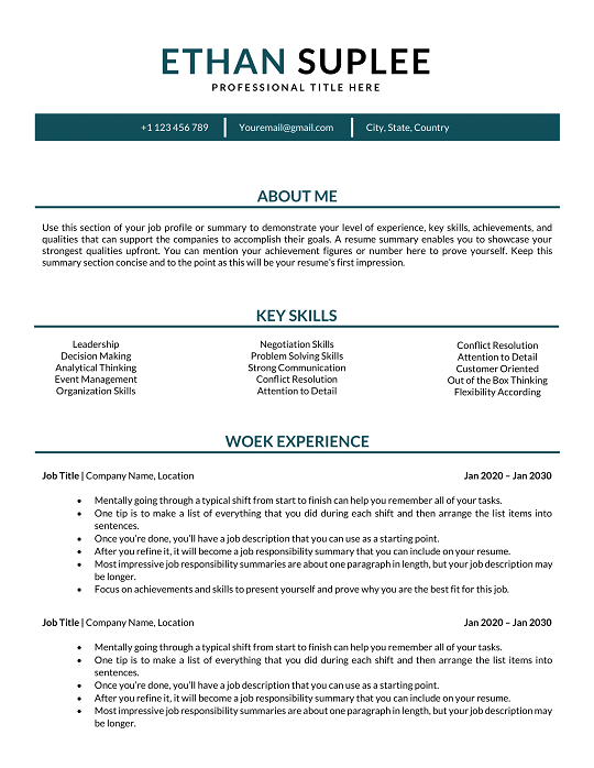 Project Manager Resume Word Template Project Manager Resume Word Template